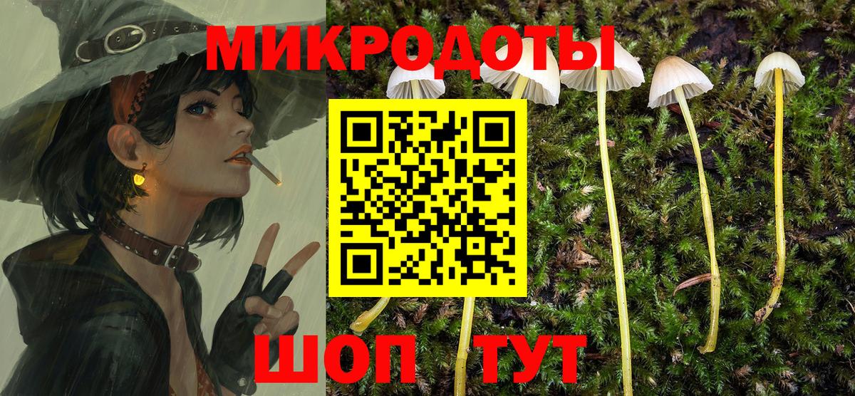Галлюциногенные грибы мицелий  Вход с VPN  Галлюциногенные грибы прущие грибы  Красный Сулин 